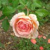 Abraham Darby